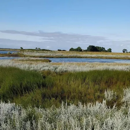 Hébergement de vacances 4 Person In Bogense-by Traum