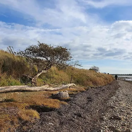 Hébergement de vacances 4 Person In Bogense-by Traum *